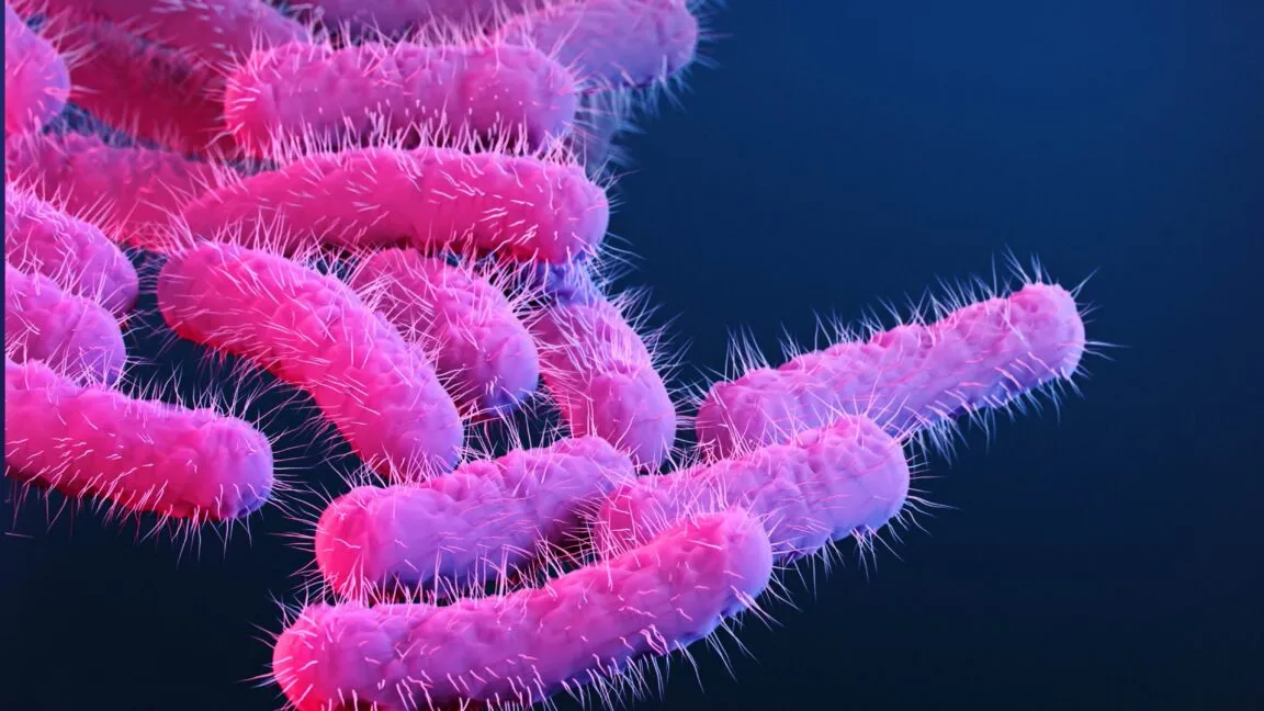 Primate Outbreak Yields Breakthrough Data for Shigella Vaccine