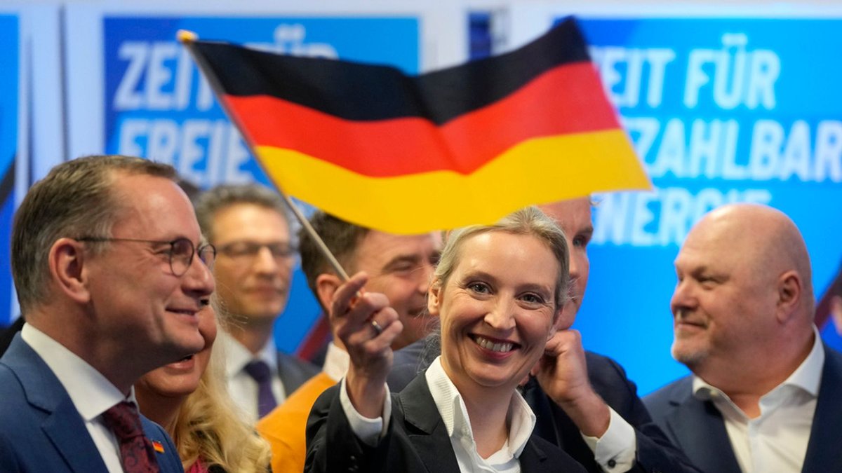 AfD Demands Coalition Talks Following German State Victory