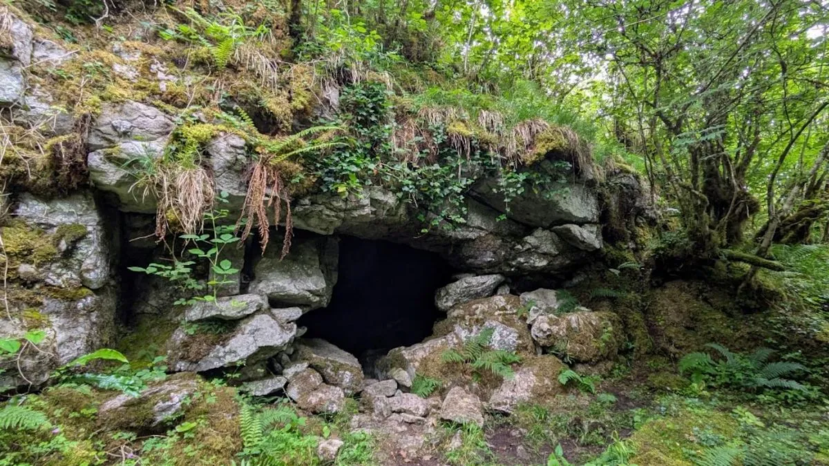Ancient Irish Cave Art Reveals Ice Age Migration From Wales