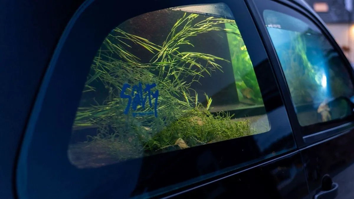 Tidal Art Project Transforms Submerged Vehicles in Plymouth