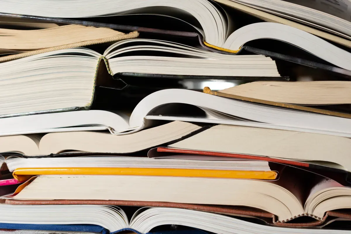 Authors Push Back Against Publishing Claims in AI Lawsuit