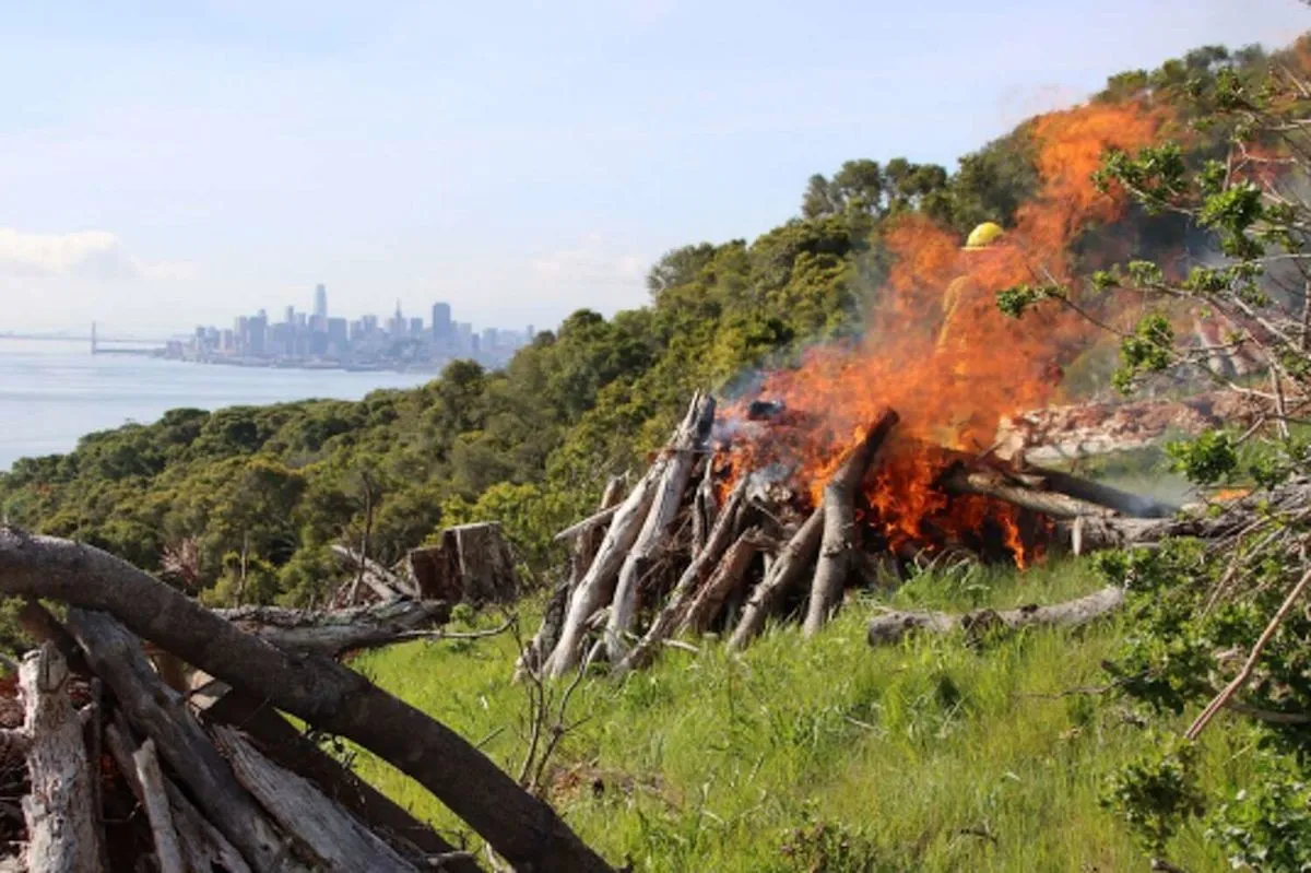 California Initiates Angel Island Burn to Cut Wildfire Risk