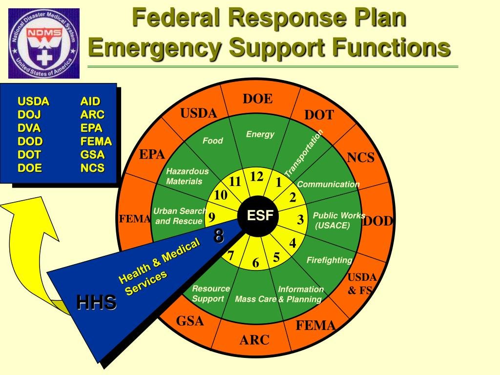 emergency (3) services (4) remains (5) a (6) central (7) focal