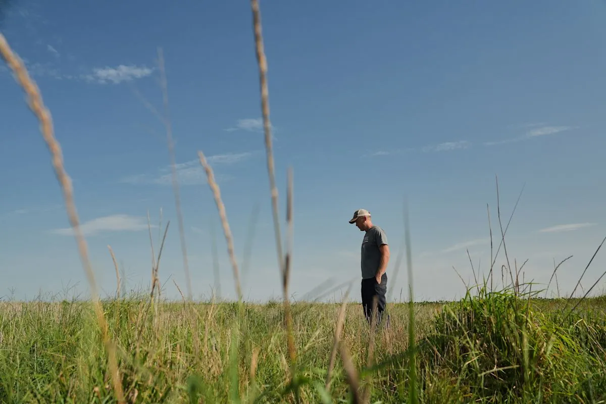 Perennial Grains Offer Hope Against Severe Crop Droughts