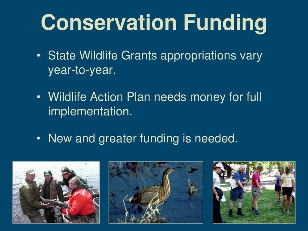 Federal Grants Boost State Park Wildlife Habitats Nationwide