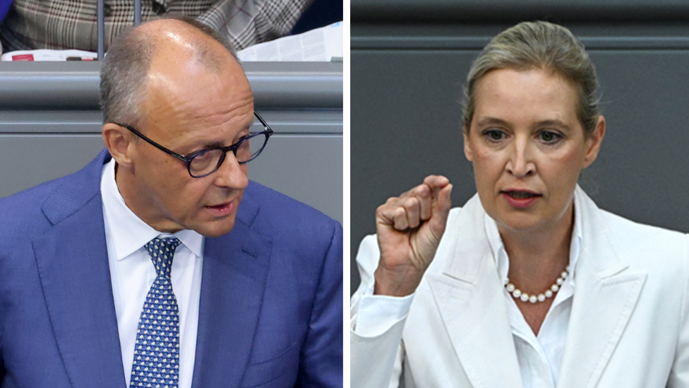 German Leaders Clash Over AfD Migration Strategy