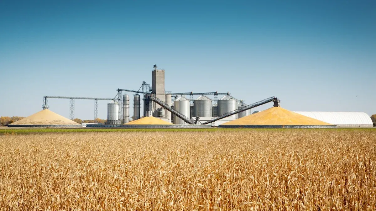 IRS Crop Loan Election Triggers Social Security Benefit Cuts