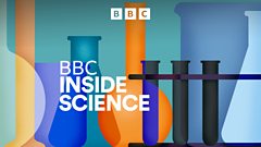 How Physicists Detected Potential Dark Matter Signatures