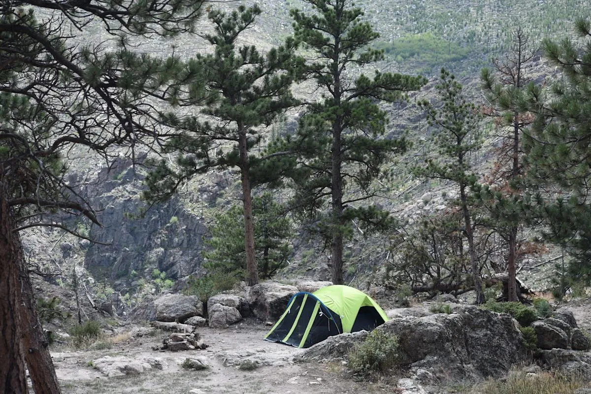 Navigating Free Dispersed Camping in Roosevelt Forest