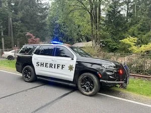 Thurston County Stop Leads to Fentanyl Bust and Fraud Arrest