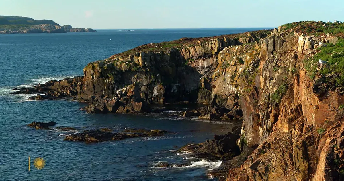 Newfoundland Coastal Ecosystems Face Unprecedented Change
