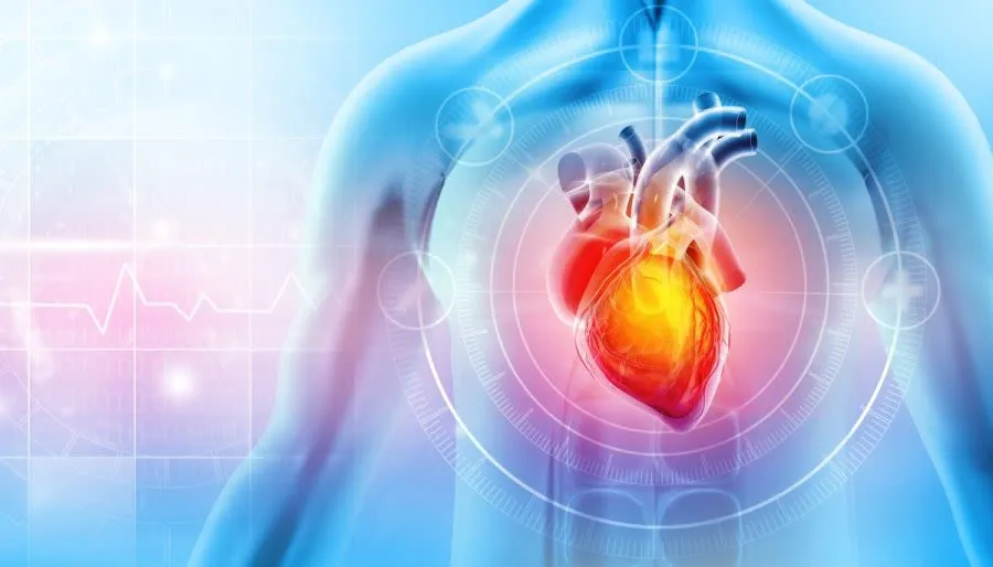 Xylitol Linked to Surging Risk of Heart Attack and Stroke