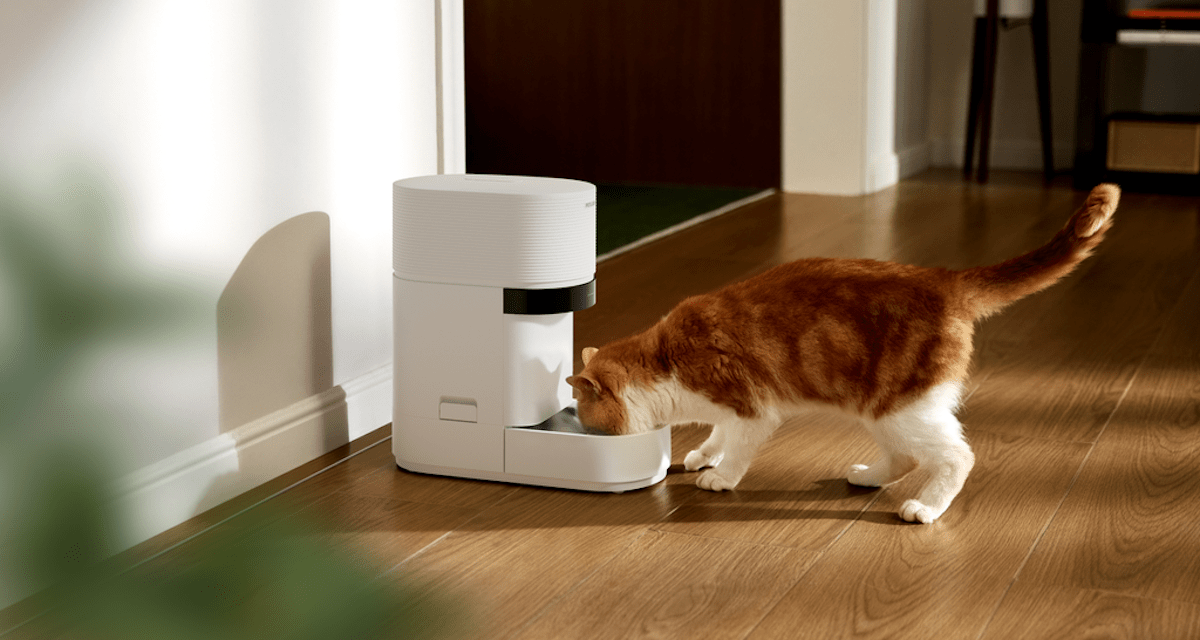 Petlibro Granary 2 Smart Feeder Transforms Multi-Cat Health Tracking