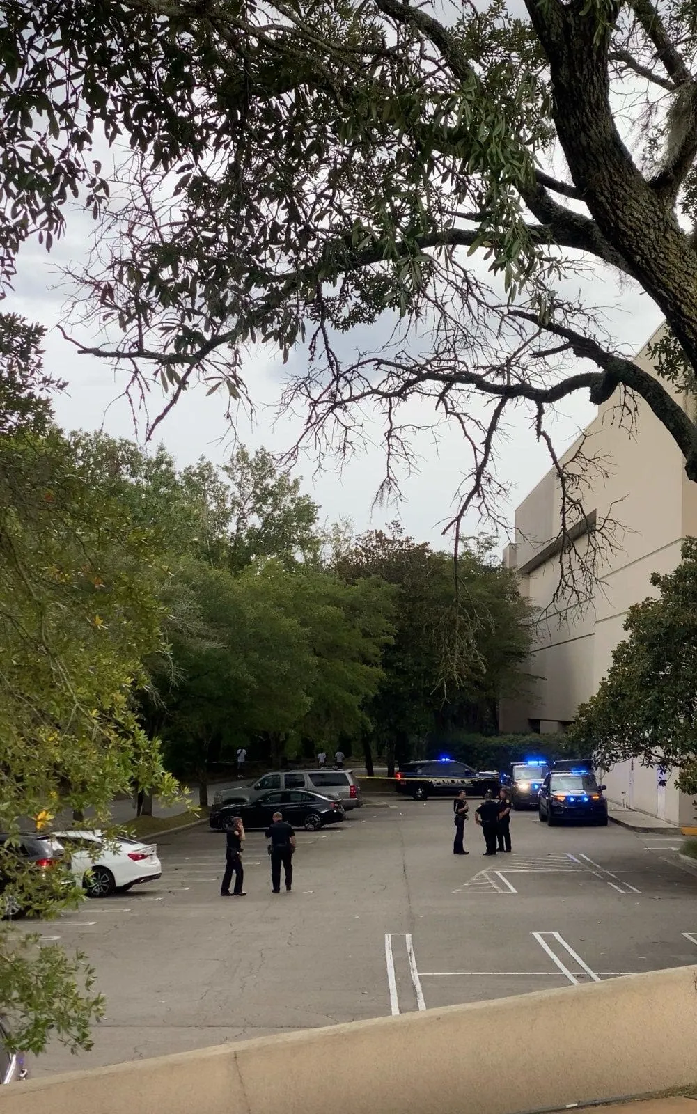 Police Investigate Shots Fired at Florida Shopping Center