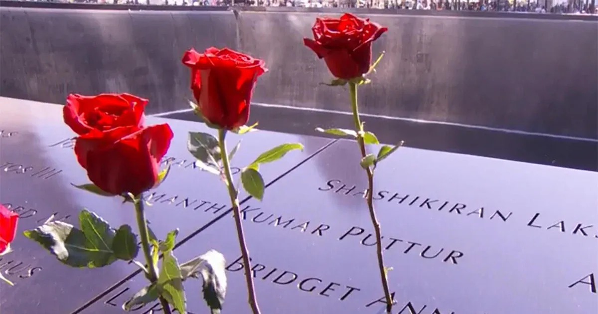 Quarter-Century Later: Eyewitnesses Reflect on 9/11 Legacy