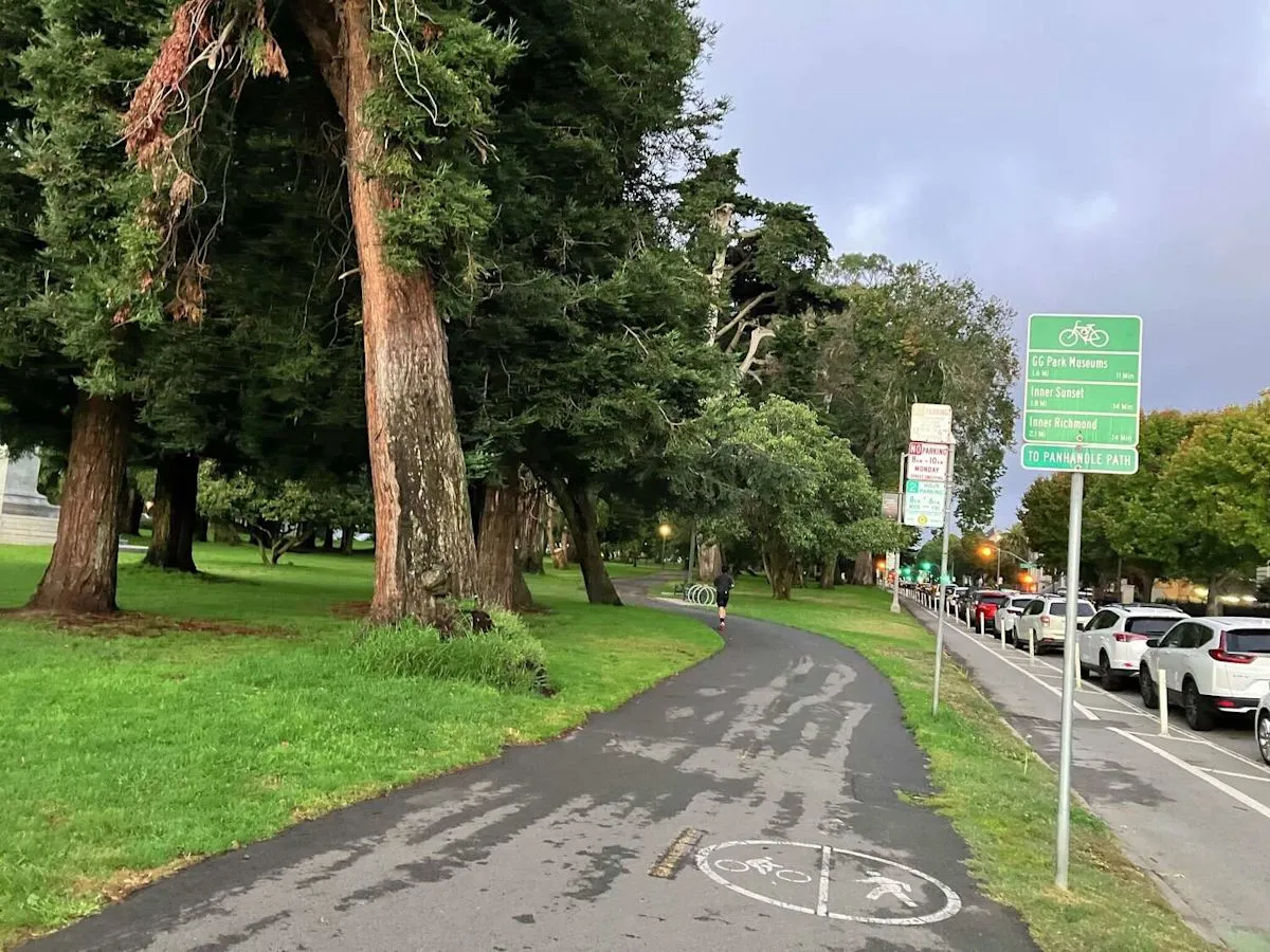 San Francisco Mountain Lion Vanishes After Urban Standoff