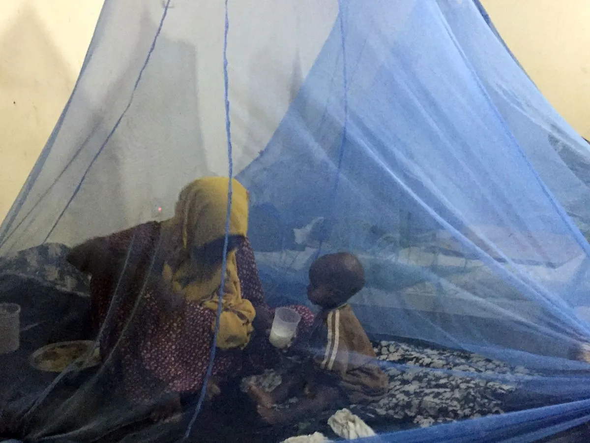 Somalia Braces for El Niño Catastrophe Amid Aid Collapse