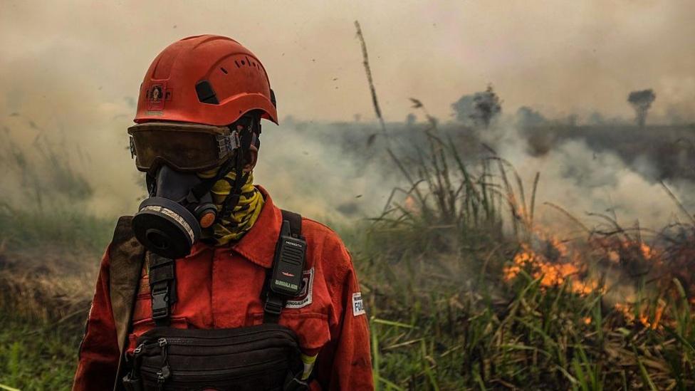 Southeast Asia Wildfire Haze Escalates Amid Super El Nino