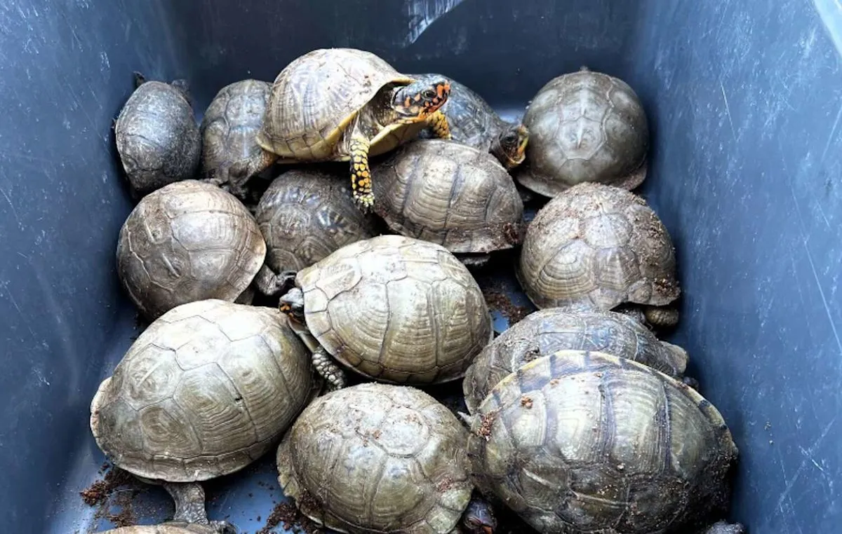 Illegal Reptile Shipping Plot Uncovered at Texas Logistics Hub