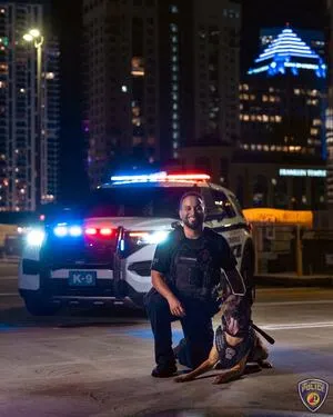 Three Wounded Police K-9s Honored for Valor in Florida Event