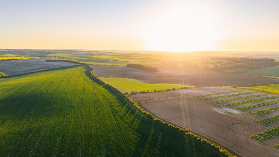 UK Farmers Lose Out in £233m Grant Race, Threatening Green Projects