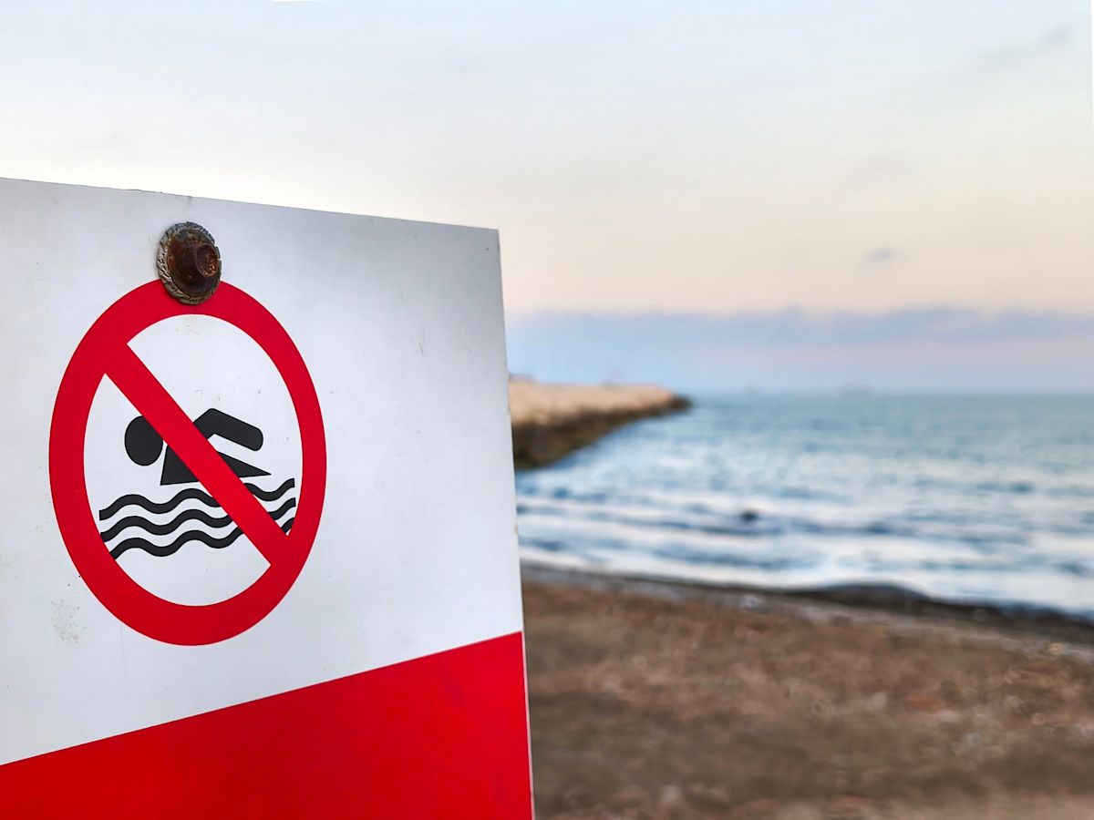 Toxic Bacteria Prompt Health Advisories at Oregon Beaches