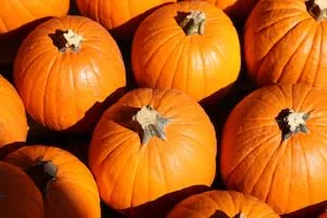 Altamonte Springs Unveils Autumn Events at Cranes Roost