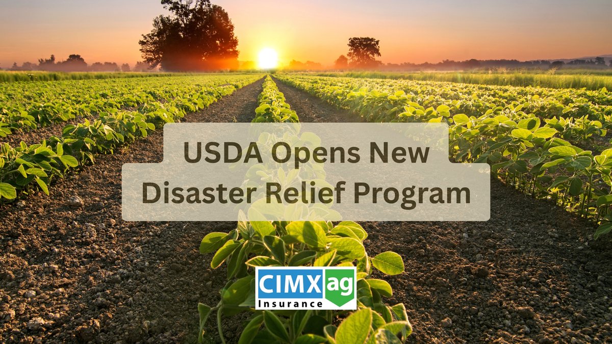 USDA Relief Programs Bolster Regional Agricultural Safety Nets