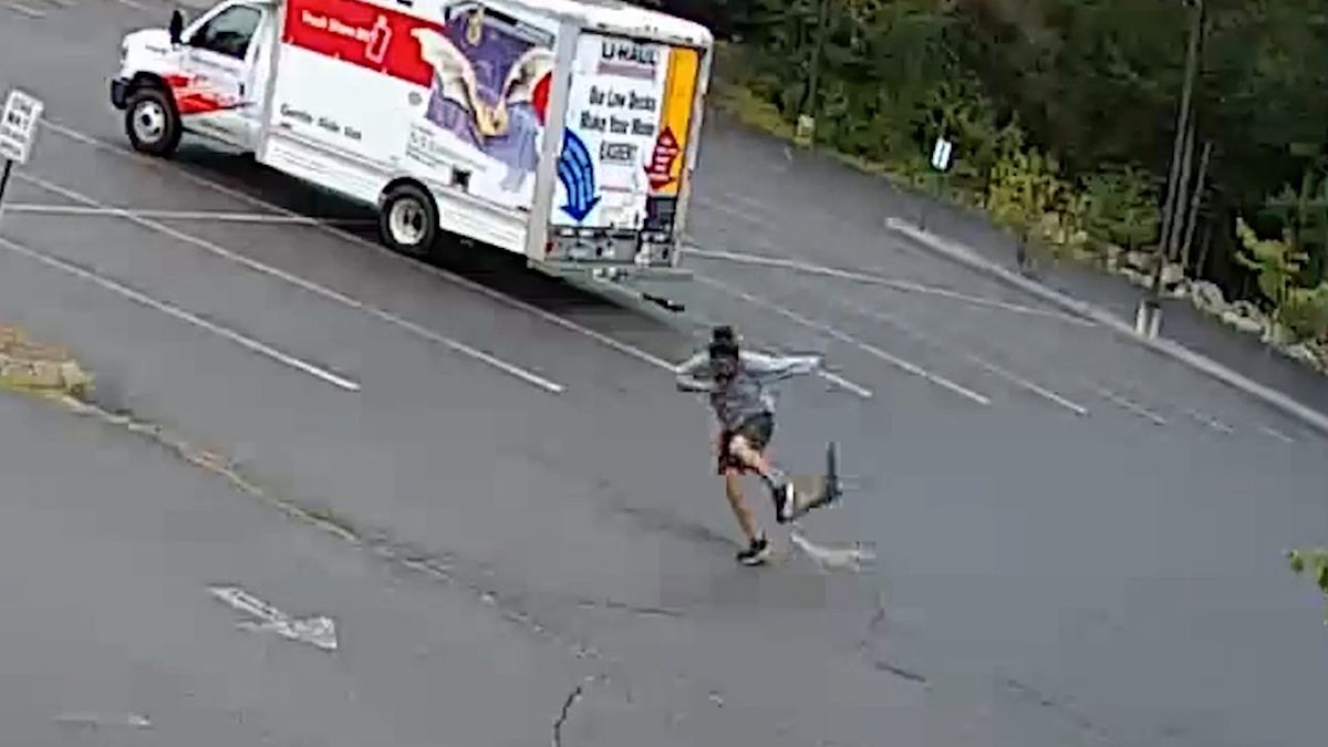 Aggressive Unknown Animal Attacks Prompt New Hampshire Warning