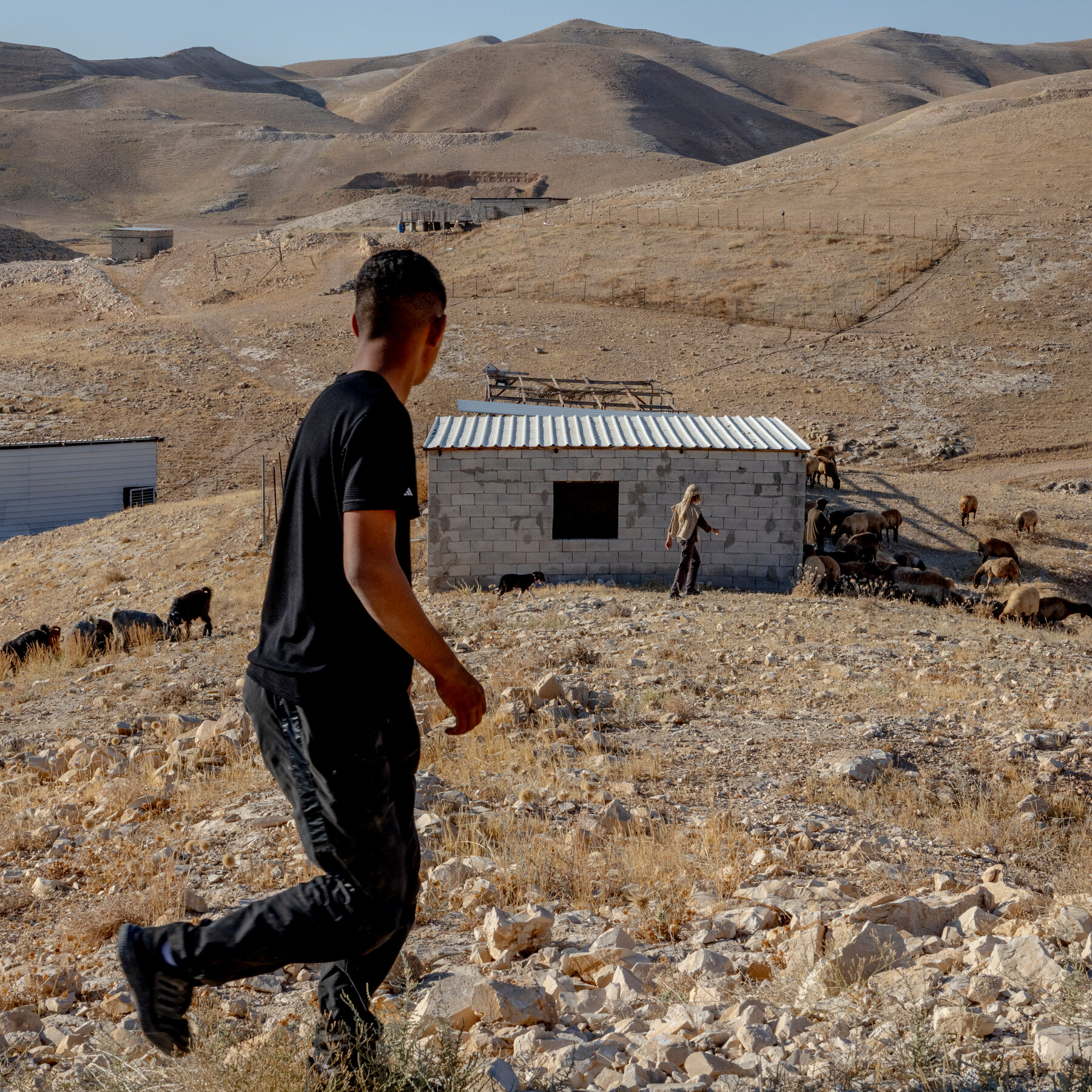 West Bank Settler Violence Threatens Rule of Law, Veterans Warn
