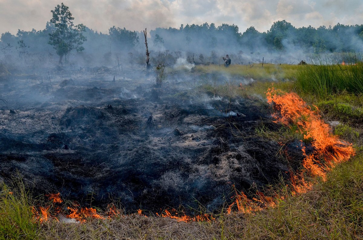 Why Indonesia Peat Fires Threaten Global Climate Targets