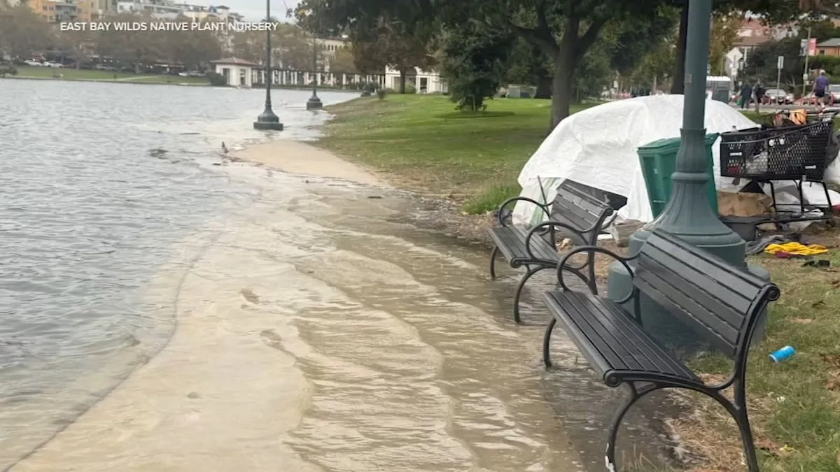 Why Oakland Lake Merritt Floods: Tidal Estuary Infrastructure