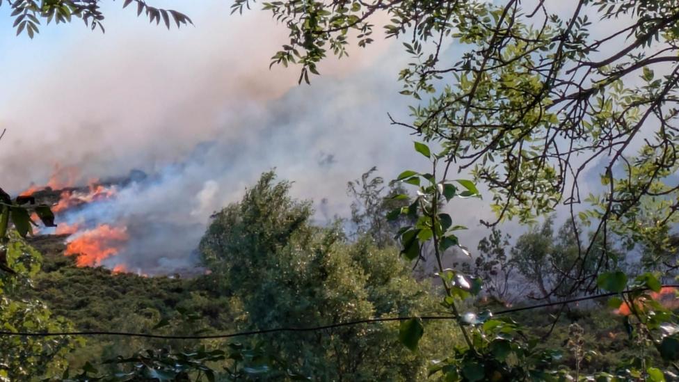 Why Summer Wildfires Left Catastrophic Soil Damage Across UK