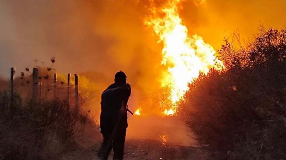 Algeria Enacts Death Penalty for Arsonists Following Deadly Wildfires