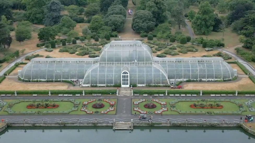 Kew Gardens Palm House Makeover Relocates 1,300 Plants